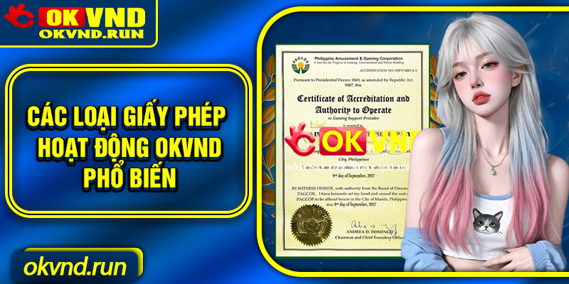 Các loại giấy phép hoạt động Okvnd phổ biến
