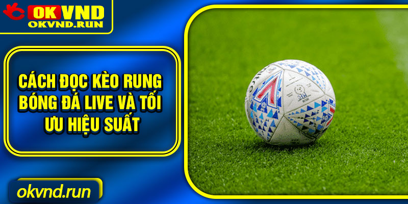 Cách đọc kèo rung bóng đá live và tối ưu hiệu suất
