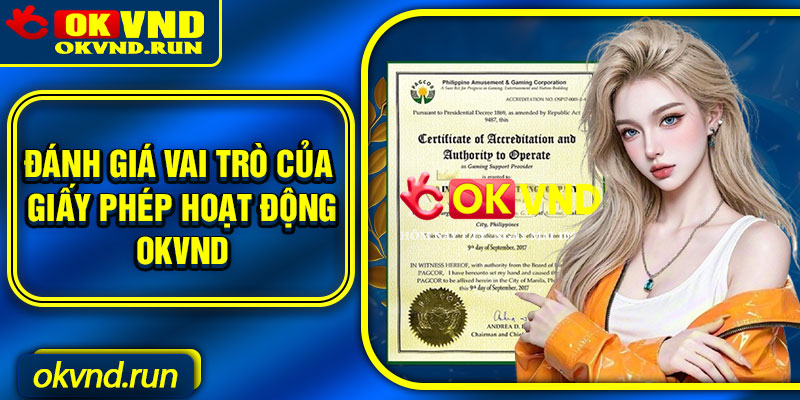 Đánh giá vai trò của giấy phép hoạt động Okvnd