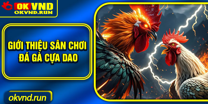 Giới thiệu sân chơi đá gà cựa dao