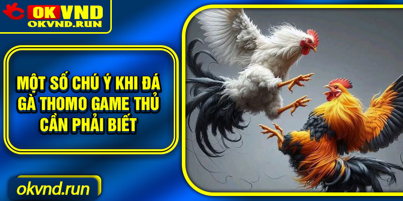 Một số chú ý khi đá gà Thomo game thủ cần phải biết