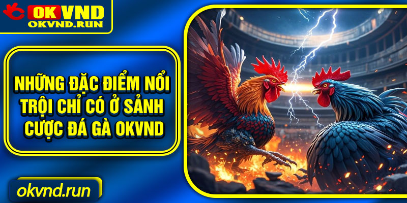 Những đặc điểm nổi trội chỉ có ở sảnh cược đá gà Okvnd