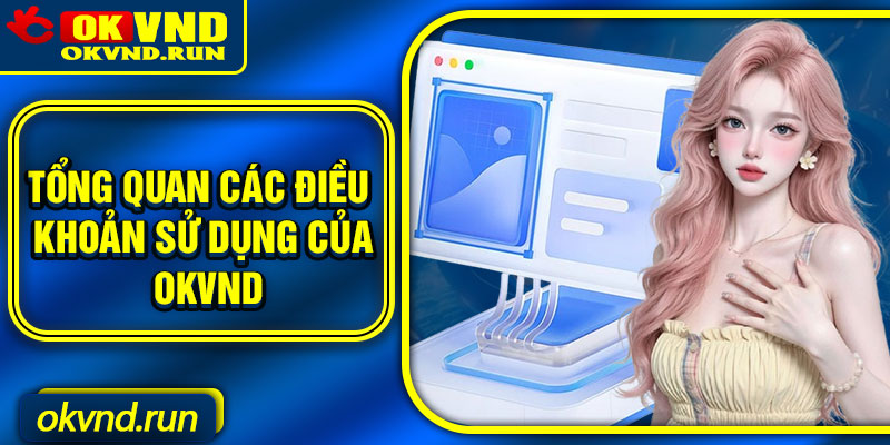 Tổng quan các điều khoản sử dụng của Okvnd