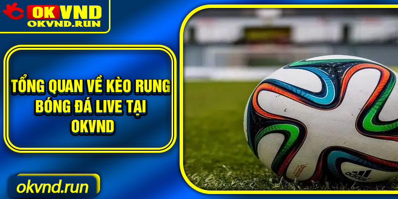 Tổng quan về Kèo rung bóng đá live tại Okvnd