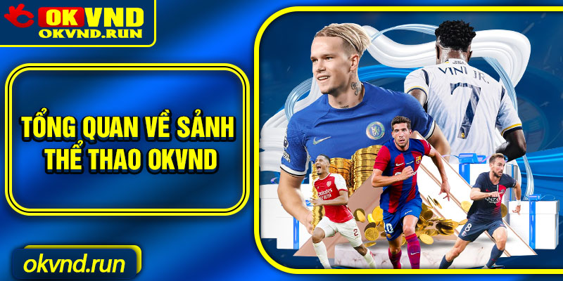 Tổng quan về sảnh Thể thao Okvnd