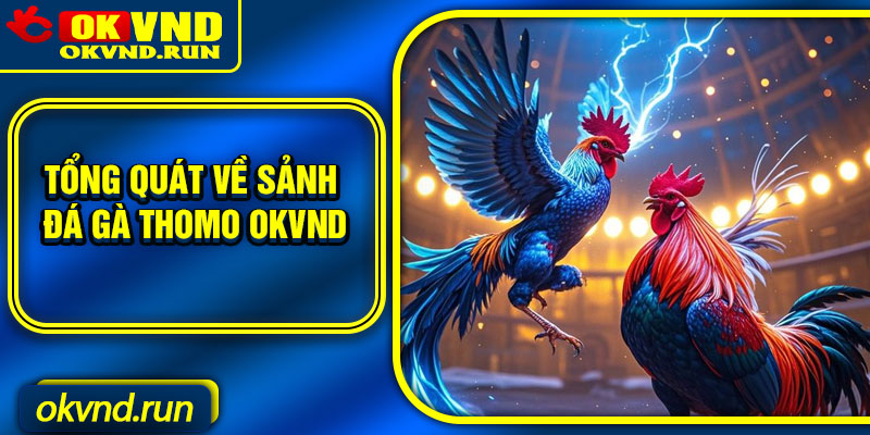 Tổng quát về sảnh đá gà Thomo Okvnd